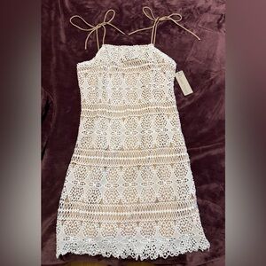 Lizard Thicket Ivory Lace Overlay dress